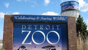 The Detroit Zoo was the first in the U.S. to feature cageless exhibits in which animals were allowed to roam.