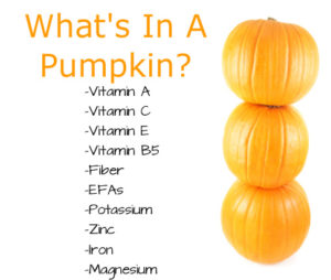 What's In A Pumpkin?