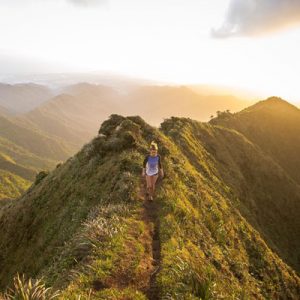 Starting A Career Development Plan | Career Plan Dorsey Schools