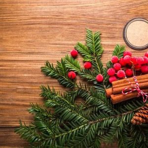 Holiday-Events-in-Metro-Detroit-2017